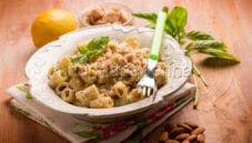 Mezzi rigatoni con pesto di mandorle e tonno
