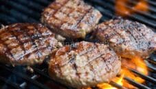 Hamburger, un sandwich apprezzato e famoso