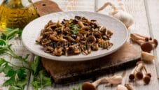 Funghi chiodini trifolati, un contorno semplice