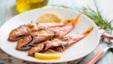 Triglie al limone, pronte in pochi minuti Triglie al limone, pronte in pochi minuti
