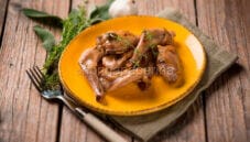 Piatto classico: il coniglio in padella 