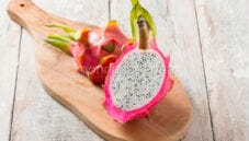 Pitaya: scopri il frutto del drago, pitaia e dragon fruit