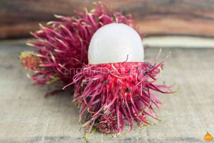 salak e rambutan salak e rambutan
