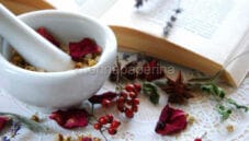 Conoscete i benefici delle erbe amare? Conoscete i benefici delle erbe amare?