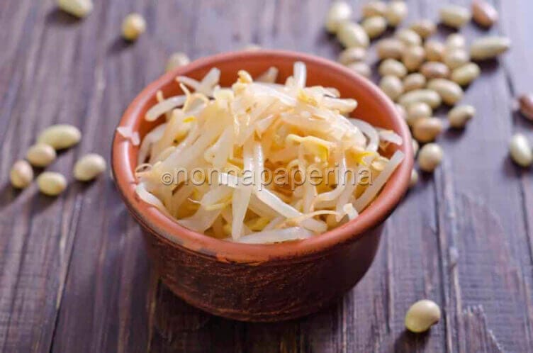 germogli di soia germogli di soia