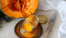 Vivacità ai piatti con la polvere di zucca Vivacità ai piatti con la polvere di zucca