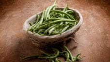 Fagiolini sott’aceto da conservare in dispensa Fagiolini sott’aceto da conservare in dispensa