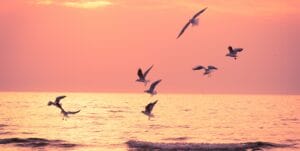 Sono immersa nella mia tristezza Sono immersa nella mia tristezza