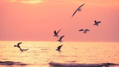 Sono immersa nella mia tristezza