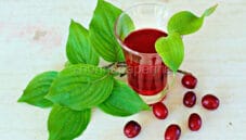 Sciroppo di corniolo e riaffiorano i miei ricordi