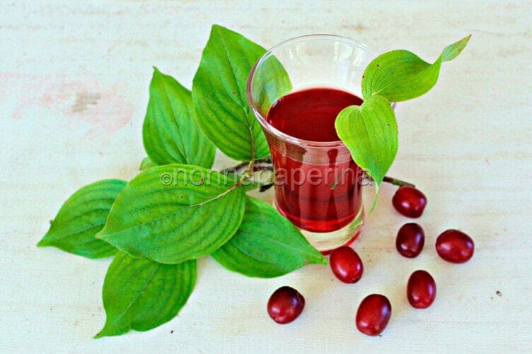 sciroppo di corniolo