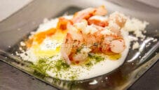 Gamberi in crema di mozzarella alle tre farine Gamberi in crema di mozzarella alle tre farine