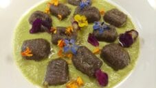 Gnocchi con farina di carrube su crema di taleggio, un primo unico Gnocchi con farina di carrube su crema di taleggio, un primo unico