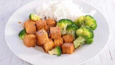 Piatto alternativo con il Tofu di canapa al forno