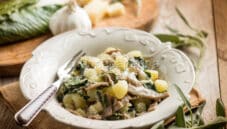 Pizzoccheri della Valtellina . Piatto della domenica Pizzoccheri della Valtellina . Piatto della domenica