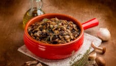 Funghi in padella e consigli utili per la conservazione