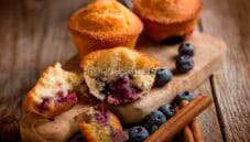 La dolcezza dei muffins ai mirtilli profumati alle spezie   