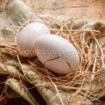 Uova di oca, uno vale per due di gallina