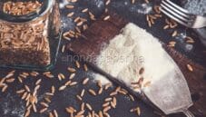 Farina di Kamut, contiene glutine ed è giusto saperlo Farina di Kamut, contiene glutine ed è giusto saperlo