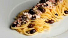 Bucatini con polpo, capperi e olive taggiasche