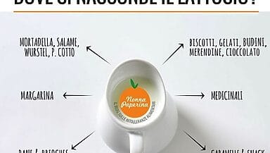 intolleranza al lattosio cosa non mangiare