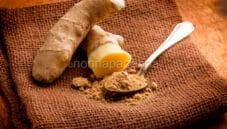 Scopriamo le proprietà e i benefici dello zenzero