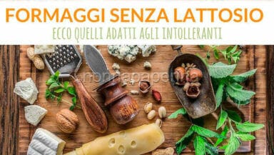 formaggi senza lattosio