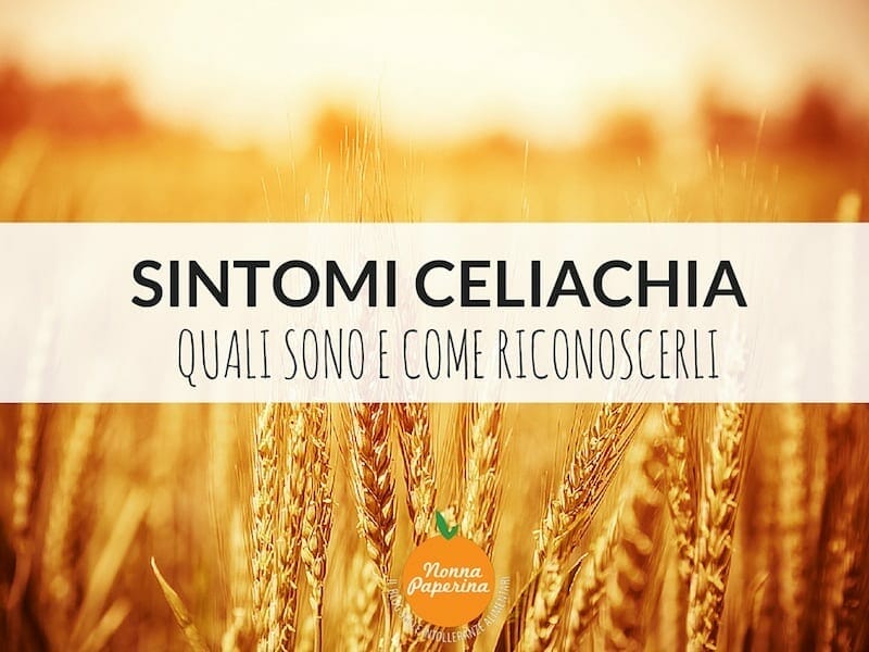 Sintomi della celiachia quali sono e come possiamo riconoscerli Sintomi della celiachia quali sono e come possiamo riconoscerli