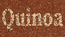 Come cucinare la quinoa ? Un alimento per molte ricette Come cucinare la quinoa ? Un alimento per molte ricette