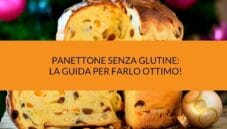Panettone senza glutine: consigli e caratteristiche. Panettone senza glutine: consigli e caratteristiche.