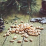 Siberian cedar pine nuts: healthy and beneficial Siberian cedar pine nuts: healthy and beneficial