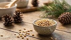 Pinoli di cedro siberiano