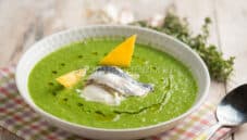 Zuppa di scarola con burrata e alici marinate