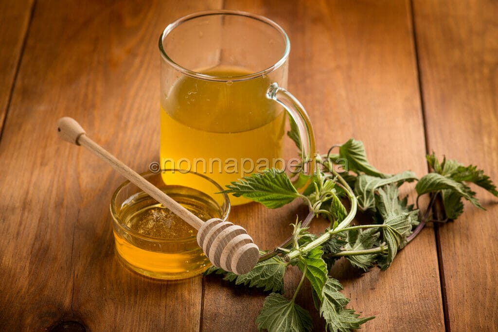 decotto di ortica decotto di ortica