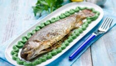 Trota salmonata con crema di bietole : facile facile Trota salmonata con crema di bietole : facile facile