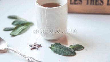 Salvia: Infusi e benefici