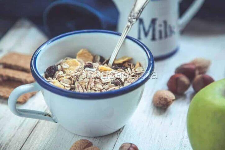 Muesli ai semi di canapa, girasole, lino e nocciole Muesli ai semi di canapa, girasole, lino e nocciole