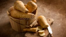 Pastinaca: mille usi e potenzialità