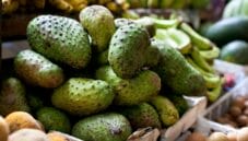 Guanabana, frutto dalle mille proprietà benefiche 