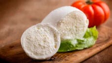 Mozzarella senza lattosio: tutto quello che c’è da sapere!