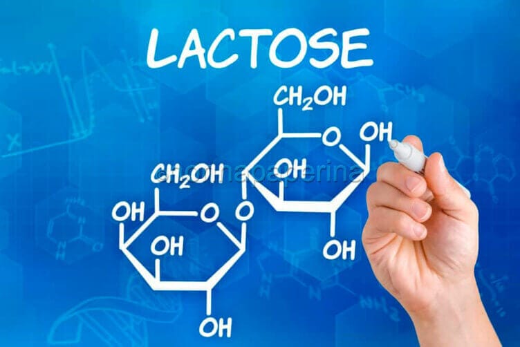 Mozzarella senza lattosio intolleranze