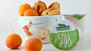 Madeleine con yogurt di Soia con pesca e albicocca