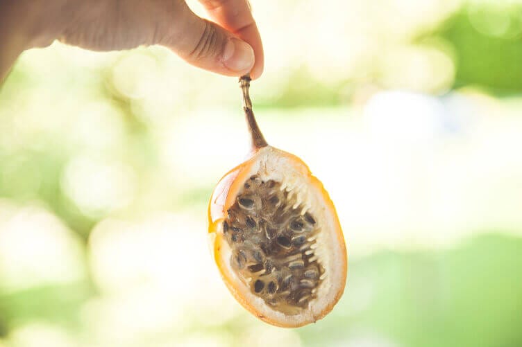 maracuja frutto maracuja