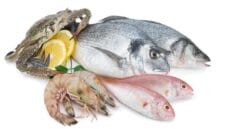 Intolleranza al pesce, sintomi e cura