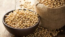 Allergia alla soia: ecco tutto quello che dovreste sapere