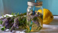 Acqua aromatizzata lavanda, menta e cedro