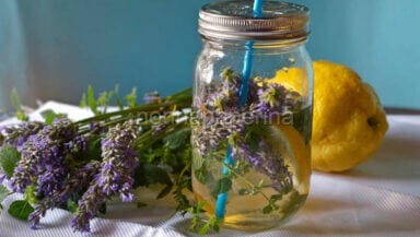 acqua aromatizzata alla lavanda