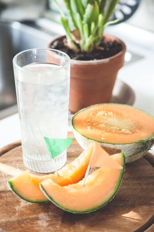 Bevanda Aloe e melone