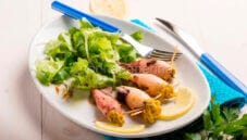 Calamari ripieni, piatto leggero ed estivo Calamari ripieni, piatto leggero ed estivo