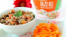 Orzo bio alle verdure con insalata di carote al sesamo